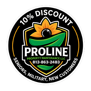 10% discount Badge